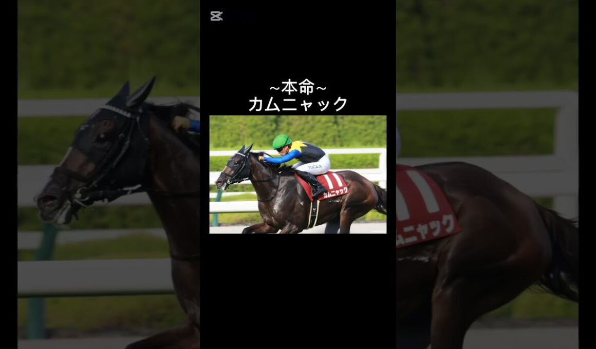 カムニャックついに2冠達成か。｢秋華賞予想｣#秋華賞 #競馬 #カムニャック #桜花賞馬 #オークス馬 #2冠牝馬 #優駿牝馬 #GI #京都競馬場