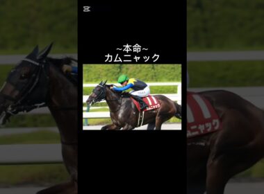 カムニャックついに2冠達成か。｢秋華賞予想｣#秋華賞 #競馬 #カムニャック #桜花賞馬 #オークス馬 #2冠牝馬 #優駿牝馬 #GI #京都競馬場