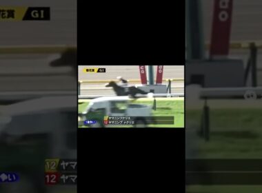 #KikukaSho #YutakaTake #NorihiroYokoyama #HorseRacing #JRA #TripleCrown #菊花賞 #競馬 #武豊