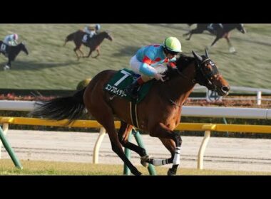 【秋華賞】桜花賞馬エンブロイダリーが2冠！牝馬3冠の最終戦を制した　京都騒然…カムニャック沈み16着