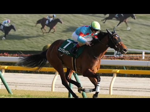 【秋華賞】桜花賞馬エンブロイダリーが2冠！牝馬3冠の最終戦を制した　京都騒然…カムニャック沈み16着