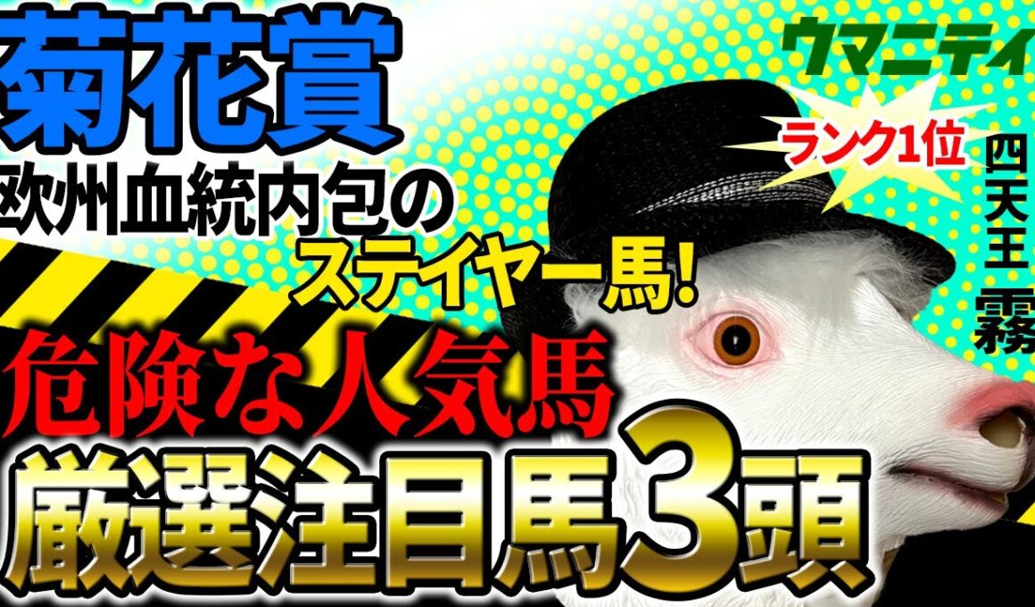 【菊花賞2025】2025年100万超プラス収支「霧プロ」の危険な人気馬＆厳選注目馬とは？