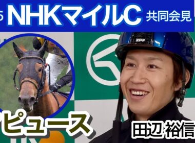 【NHKマイルカップ2025】「東京はベストな舞台だと思う」マピュースの田辺裕信騎手…ＪＲＡ共同会見