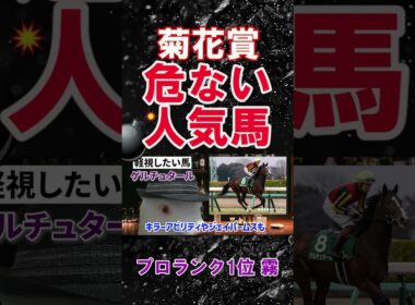 【菊花賞2025】2025年100万超プラス収支の霧プロが選ぶ危険な人気馬とは？#菊花賞2025 #菊花賞  #競馬予想
