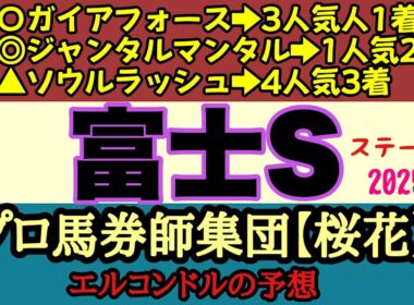 エルコンドル氏の富士ステークス2025予想！！昨年のマイルG1馬ソウルラッシュと安田記念覇者ジャンタルマンタルが秋を見据えて始動！斤量が共に重いがG1馬の意地を見せるか！