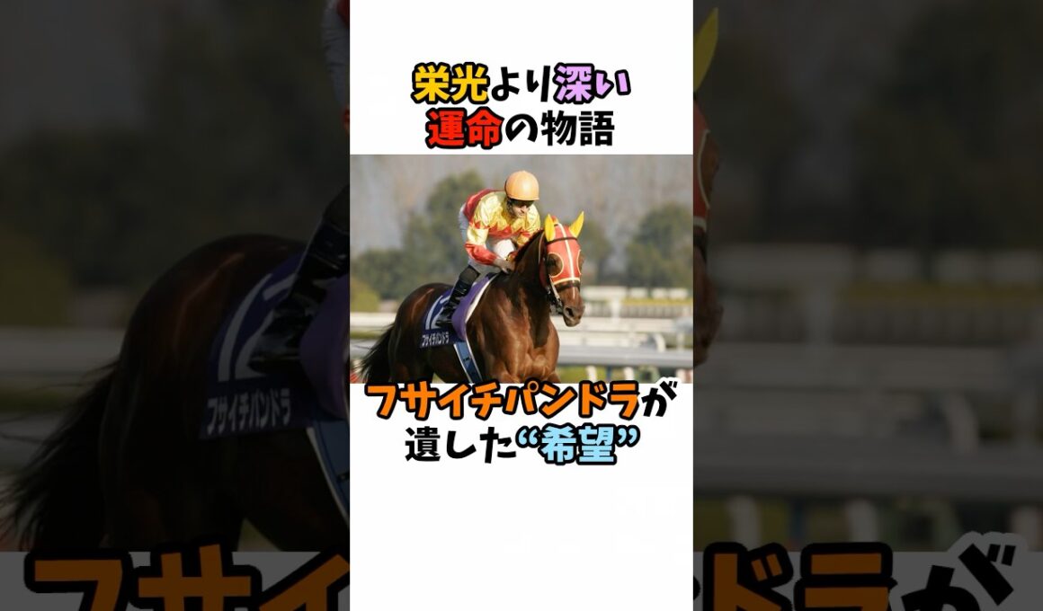 栄光より深い運命の物語フサイチパンドラが遺した"希望"#競馬 #horse