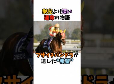 栄光より深い運命の物語フサイチパンドラが遺した"希望"#競馬 #horse