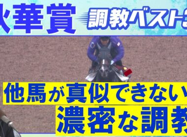 【１５週連続調教診断上位馬が激走中！】カムニャック、エンブロイダリー、ジョスラン・・・競馬エイト・高橋賢司トラックマンの調教解説＜秋華賞(ＧⅠ)＞