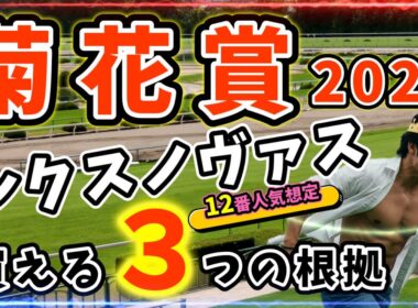 菊花賞2025【穴馬解説】逃げ馬だらけの菊花賞で光る！超人気薄レクスノヴァス隠された3つの根拠