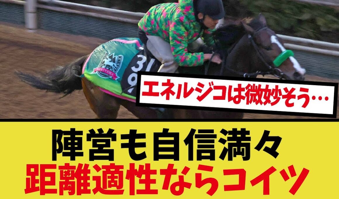 「菊花賞・距離についての陣営のコメント」に対するみんなの反応集