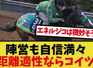 「菊花賞・距離についての陣営のコメント」に対するみんなの反応集