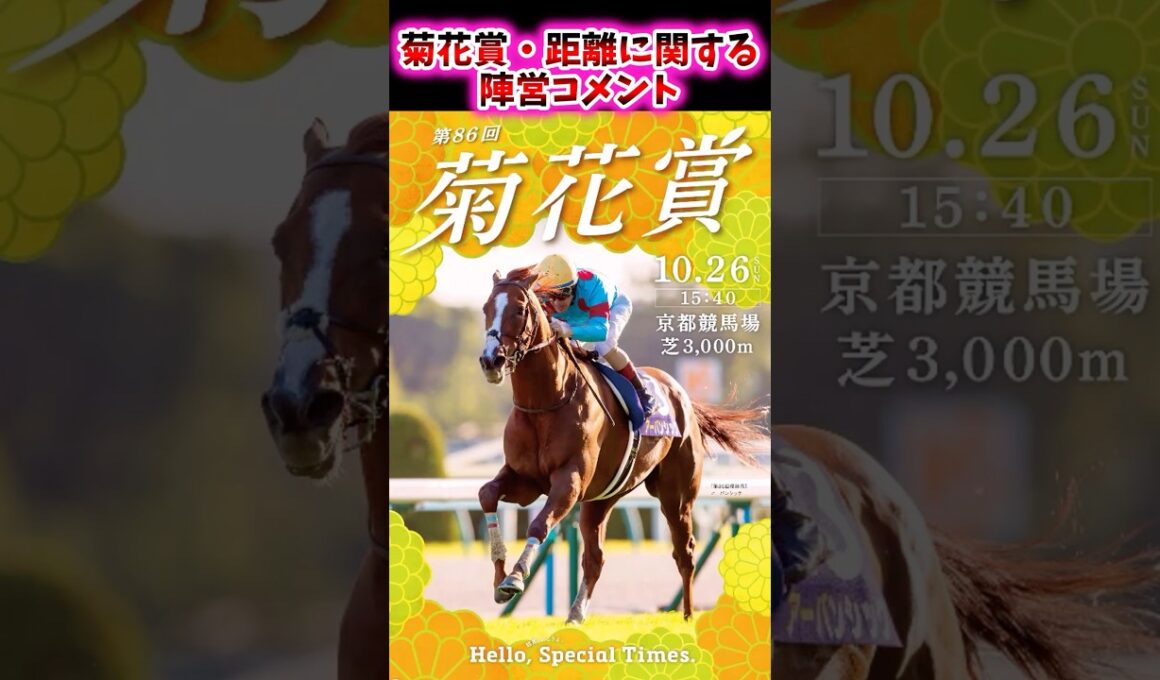 菊花賞・距離に関する各陣営コメントがこちら【競馬反応集】 #菊花賞