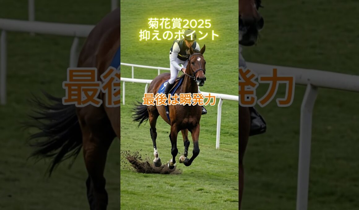 【菊花賞2025】抑えポイント｜京都3000 “二周目の下り”が鍵 #菊花賞 #菊花賞2025