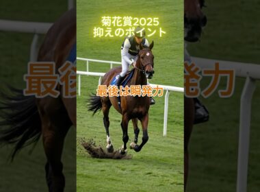 【菊花賞2025】抑えポイント｜京都3000 “二周目の下り”が鍵 #菊花賞 #菊花賞2025