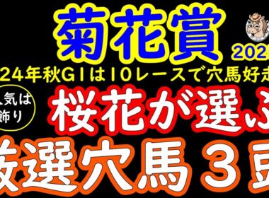 菊花賞2025人気は飾り！桜花が選ぶ厳選穴馬３頭！エネルジコやエリキングやショウヘイが人気を集める中で人気の盲点になっている馬は？スタミナ比べになると浮上しそうな馬など３頭ピックアップ！