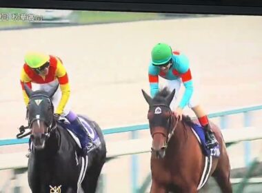 【競馬実況動画2025】第30回秋華賞 エンブロイダリー(クリストフ・ルメール)
