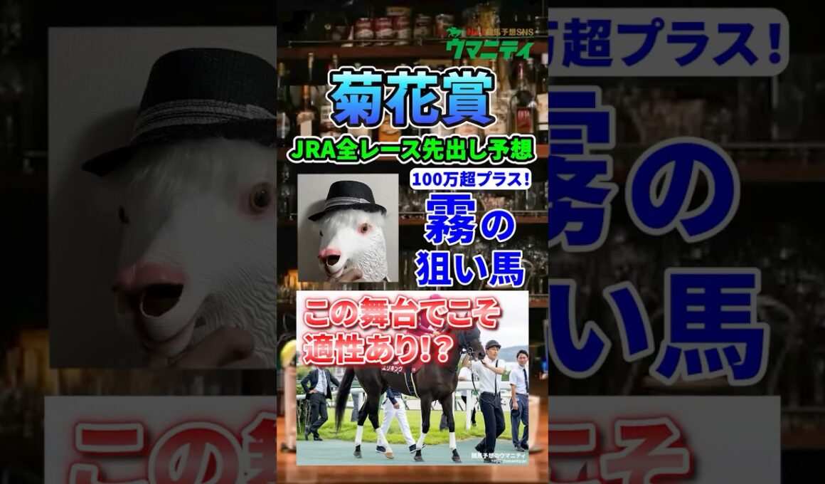 【菊花賞2025】2025年100万超プラス収支の霧プロが選ぶ狙い馬！#菊花賞2025 #菊花賞  #競馬予想