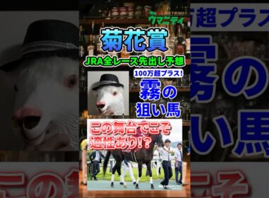 【菊花賞2025】2025年100万超プラス収支の霧プロが選ぶ狙い馬！#菊花賞2025 #菊花賞  #競馬予想