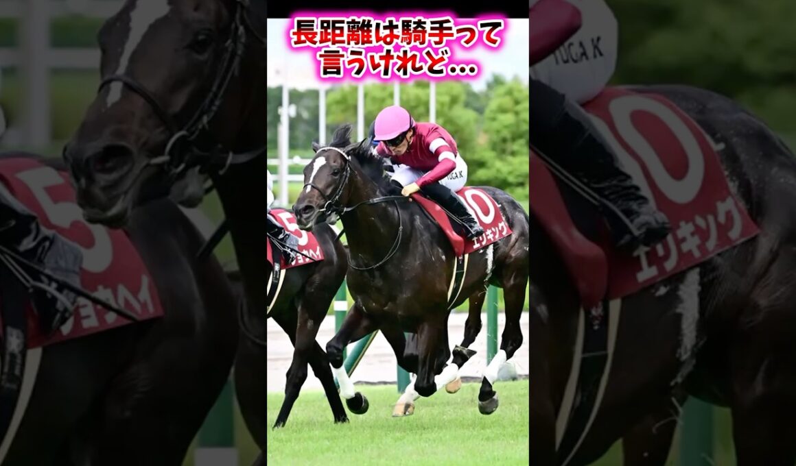 長距離は騎手って言うけれど…【競馬反応集】 #菊花賞 #エリキング #川田将雅