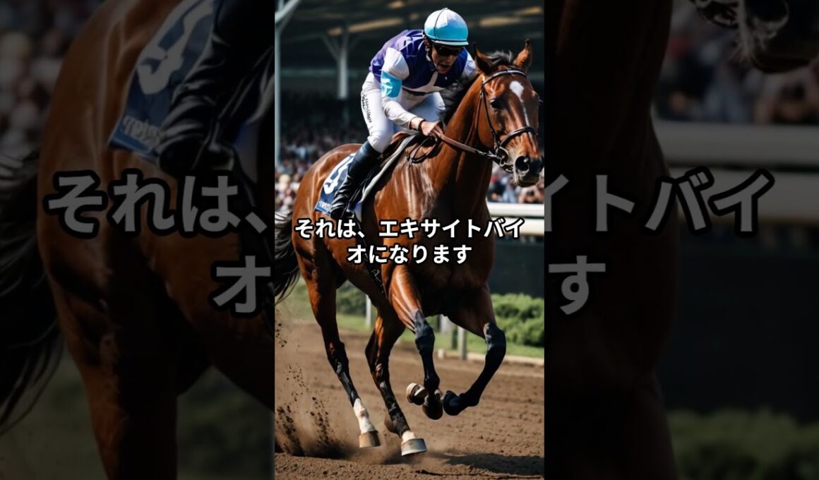 菊花賞2025のサイン② #競馬 #菊花賞