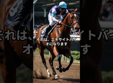 菊花賞2025のサイン② #競馬 #菊花賞