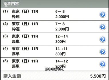 YouTube限定買い目投稿　　　　　　　　　　　　　　フェブラリーステークス2025年