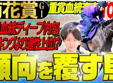 【菊花賞2025】ディープ内包馬エリキングより適性上位の可能性を秘めた注目馬！未知の長距離戦を制するのは…？(坂上明大の重賞血統査定)《東スポ競馬》