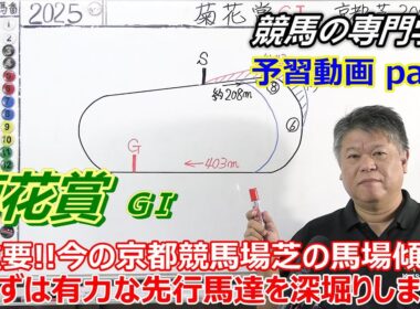 【菊花賞2025】予習動画  展開が向きそうな３頭を深掘り 【競馬の初心者の方にもわかりやすく解説】