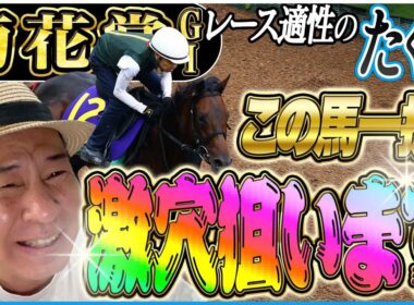 【菊花賞2025】秋華賞カムニャック凡走示唆！激穴馬！太組不二雄がクラシック最終戦をジャッジ！《東スポ競馬》