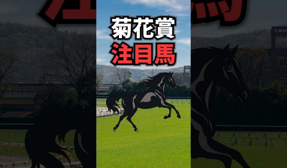 【菊花賞2025】菊花賞に出走する注目馬を紹介！！ #競馬 #菊花賞2025 #菊花賞 #shorts