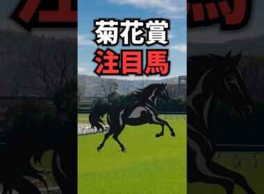 【菊花賞2025】菊花賞に出走する注目馬を紹介！！ #競馬 #菊花賞2025 #菊花賞 #shorts