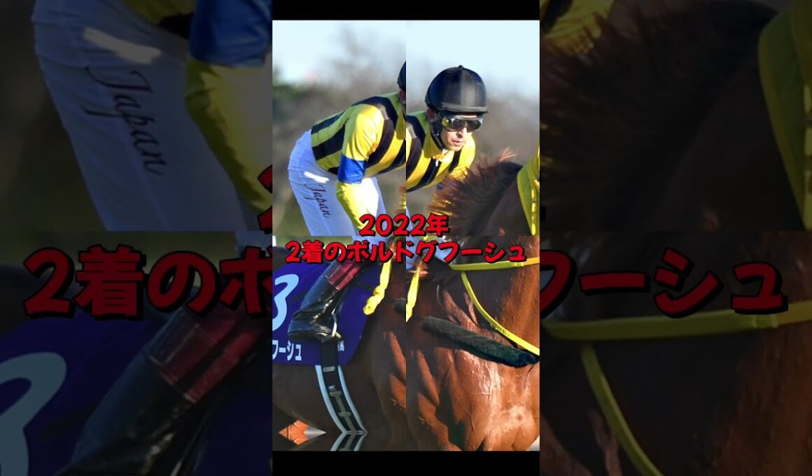 菊花賞はカンタン！？あれを経験した馬から #競馬  #競馬予想