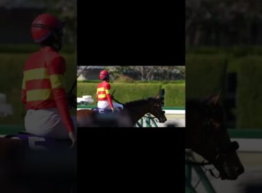 ベラジオオペラのウイニングラン 2025年大阪杯 横山和生騎手
