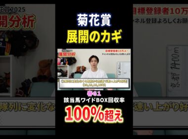 菊花賞2025展開分析！エリキングやエネルジコが激突！#競馬 #競馬予想 #馬券 #菊花賞 #おすすめ #shorts