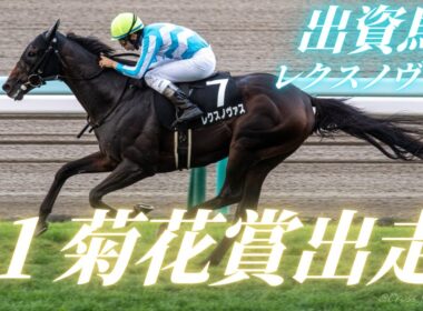 【出資馬応援】レクスノヴァスが菊花賞2025へ!!出資者目線の勝算&出走予定馬分析