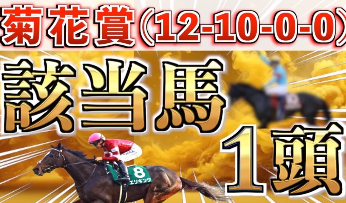 【菊花賞2025 予想】全条件パーフェクト◉想定11番人気の大穴＋鉄板馬を狙い撃つ！【先週＝パラディレーヌ🥉】