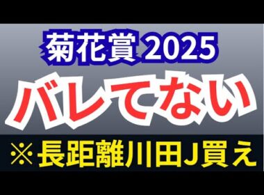 【菊花賞2025・予想】全頭診断！エリキングは絶対●●!長距離戦こそ能力＞状態面！エネルジコルメール、逃げの武豊マイユニバースを斬る！青葉賞組と同列評価の意外な上がり馬2騎○○も高評価！？【競馬予想】