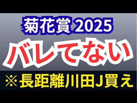 【菊花賞2025・予想】全頭診断！エリキングは絶対●●!長距離戦こそ能力＞状態面！エネルジコルメール、逃げの武豊マイユニバースを斬る！青葉賞組と同列評価の意外な上がり馬2騎○○も高評価！？【競馬予想】