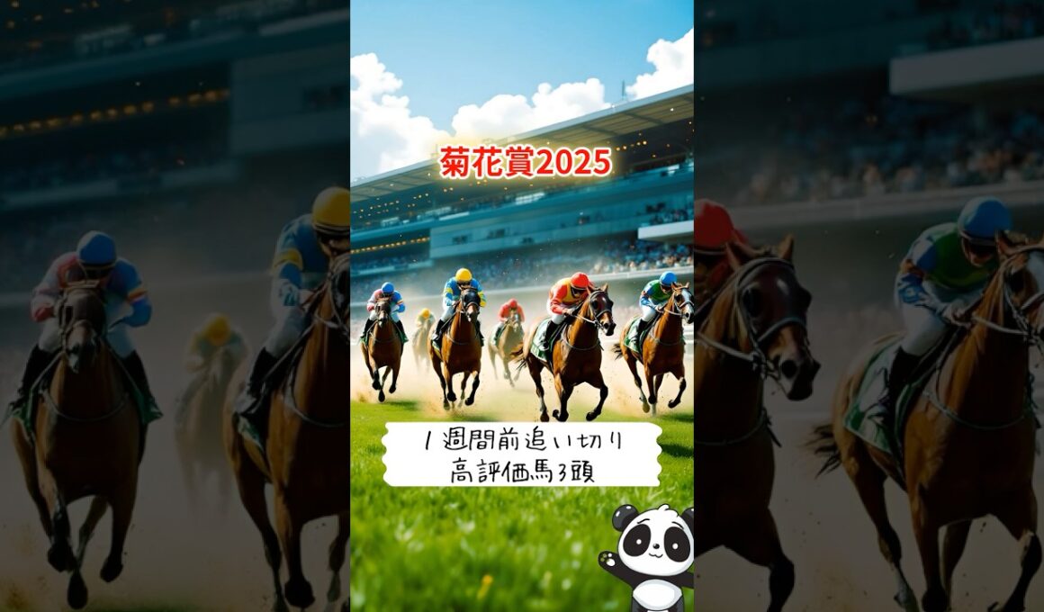 本命派も必見！【菊花賞2025】1週前追い切りで“動き抜群”の3頭！伏兵の一発にも注目👀