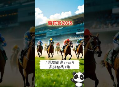 本命派も必見！【菊花賞2025】1週前追い切りで“動き抜群”の3頭！伏兵の一発にも注目👀