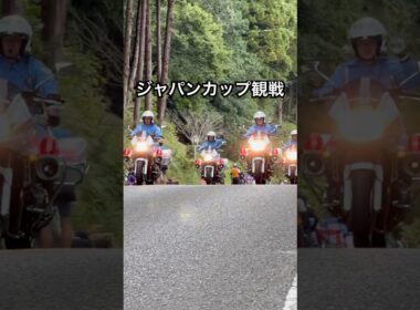 ジャパンカップロードレース観戦、選手も白バイ隊員さんもカッコよかったなぁ　#japancup #roadrace #ロードバイク