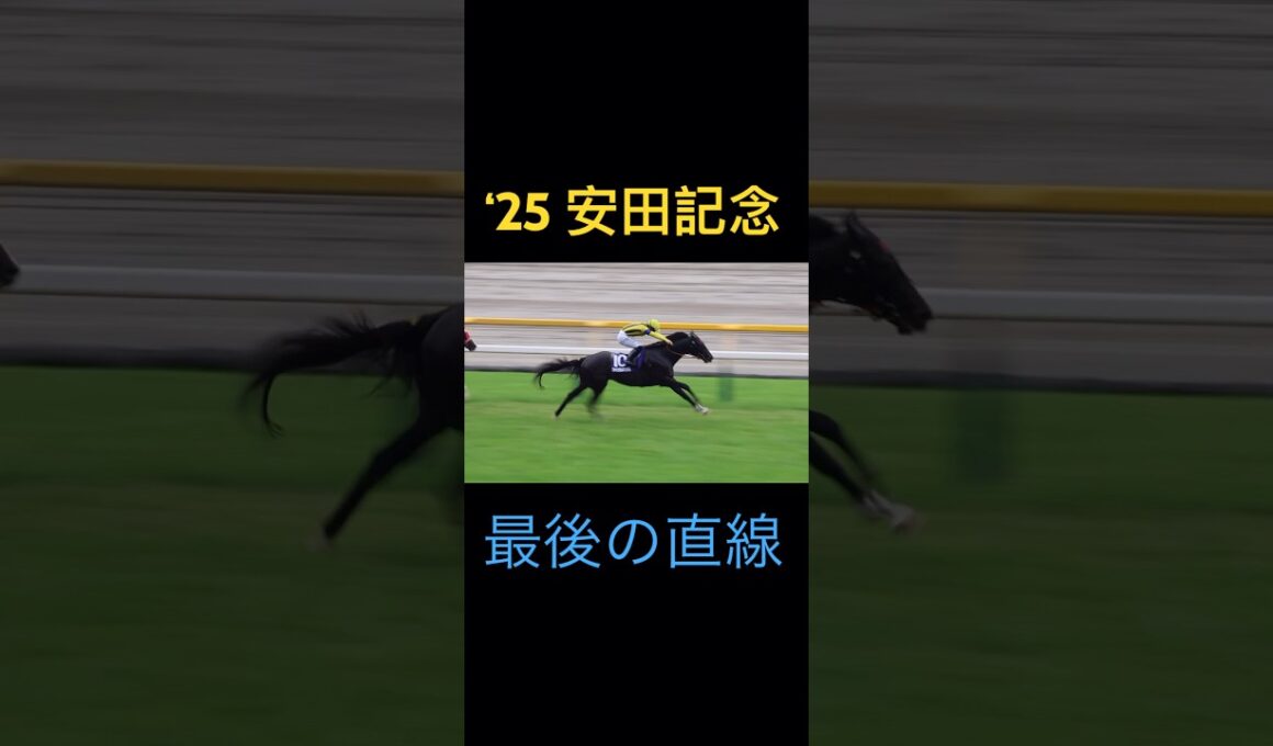 安田記念 (2025) 現地映像 最後の直線の様子 #安田記念 #川田将雅 #競馬 #shorts