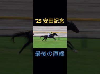 安田記念 (2025) 現地映像 最後の直線の様子 #安田記念 #川田将雅 #競馬 #shorts