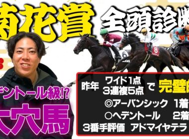 【菊花賞 2025全頭診断】まさかの大穴馬に高評価ラッシュ！昨年完璧的中の馬券師がヘデントール級の大穴馬見つけました