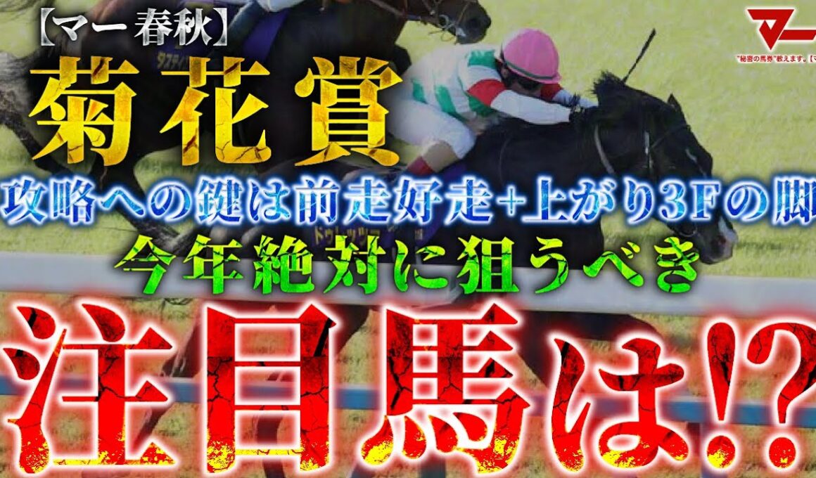 【2025 菊花賞】攻略への鍵は”前走好走＋上がり3Fの脚”！絶対に狙うべき注目馬とは！？