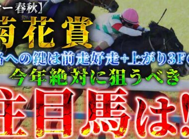 【2025 菊花賞】攻略への鍵は”前走好走＋上がり3Fの脚”！絶対に狙うべき注目馬とは！？