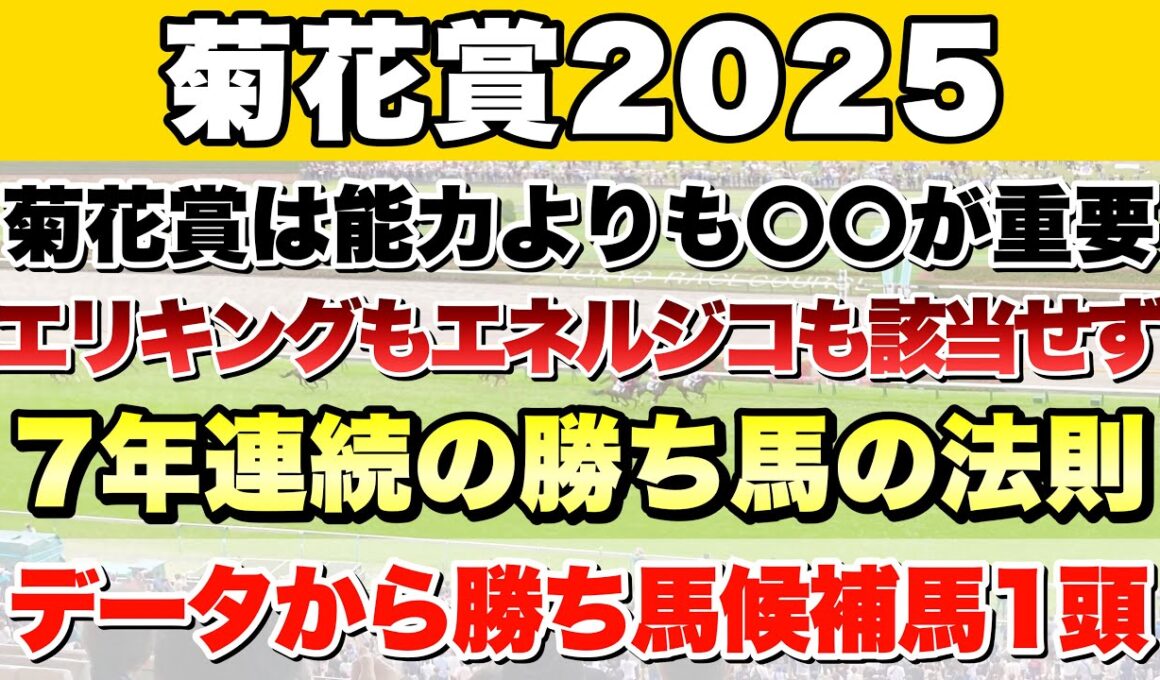 【菊花賞2025】データから導き出される好走馬!! 7年続く勝ち馬の法則とは!?【データ予想】