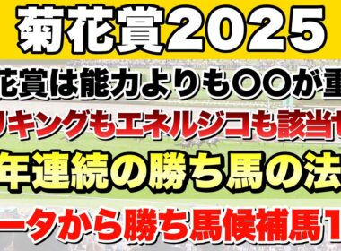 【菊花賞2025】データから導き出される好走馬!! 7年続く勝ち馬の法則とは!?【データ予想】