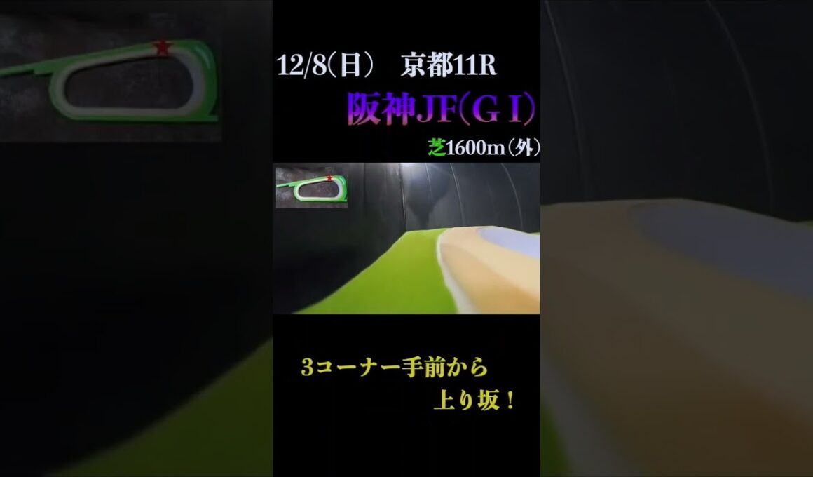 【買っちゃえばいいじゃん】阪神ジュベナイルフィリーズ(ＧⅠ) 2024 #競馬予想 #win5