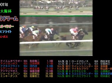 2001年産経大阪杯　トーホウドリーム　　#テイエムオペラオー#アグネスフライト#アメリカンボス#ウマ娘#競馬#競走馬#馬#horse#武豊#jra